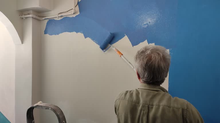 Best Drywall Removal and Disposal  in Pine Island Center, FL